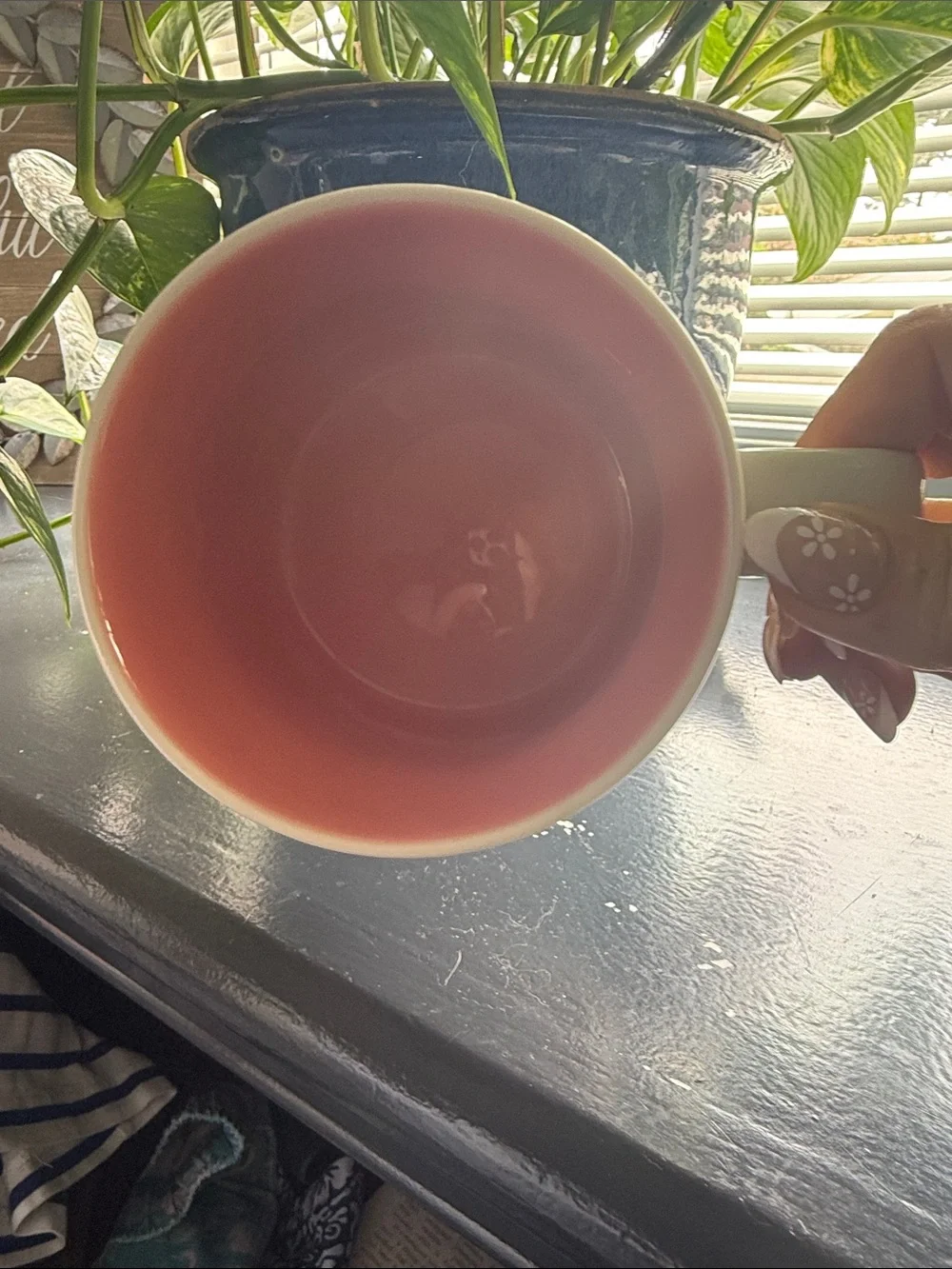 Starbucks South Carolina White Mug with Red and Yellow Graphics